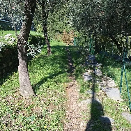 Le Vigne Di Lenf