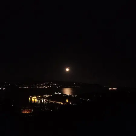 Le Vigne Di Lenf *